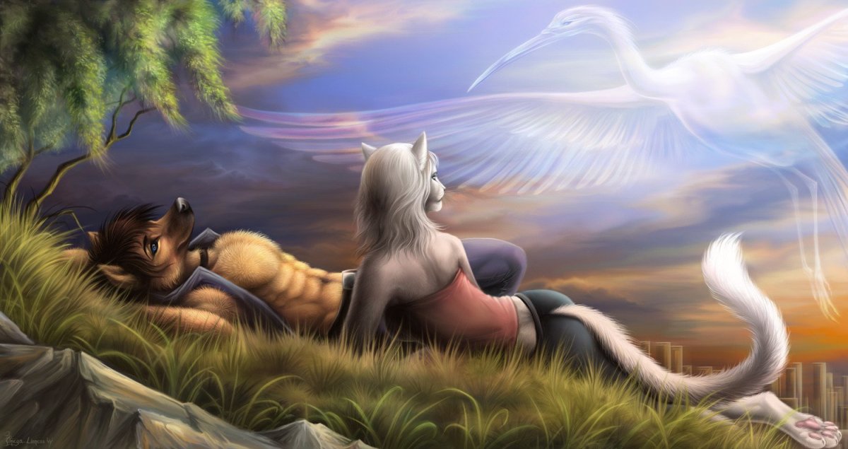 Волк и кошка арт