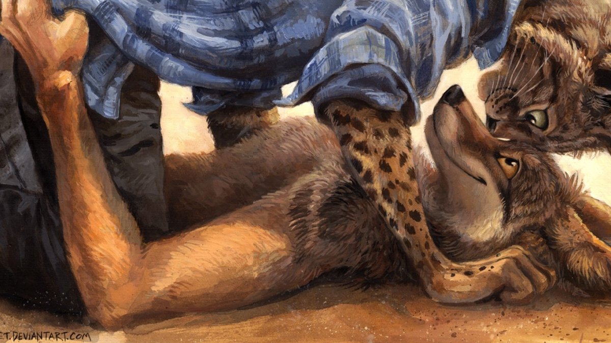 Лис и гепард фурри