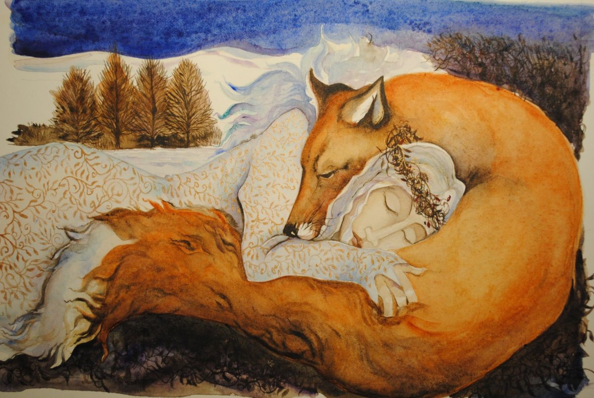 Jackie Morris художник