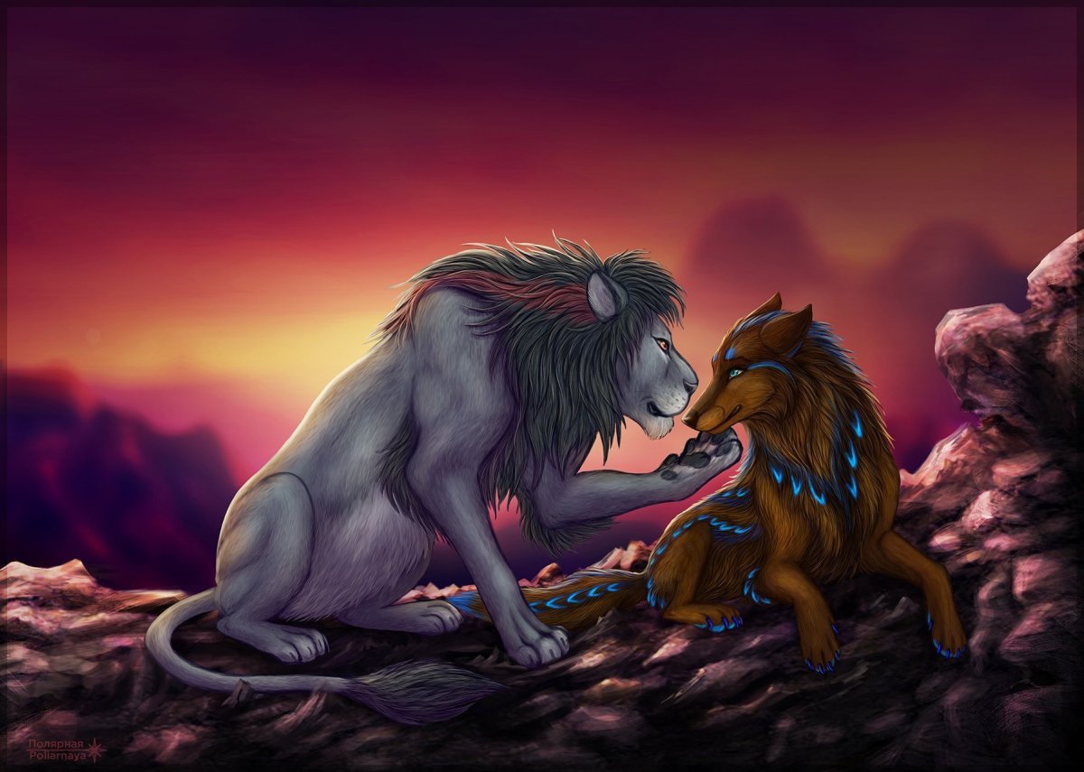 Волчица и Лев