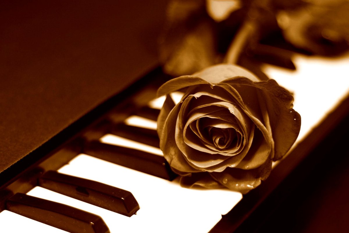 Пианино с розой Эстетика