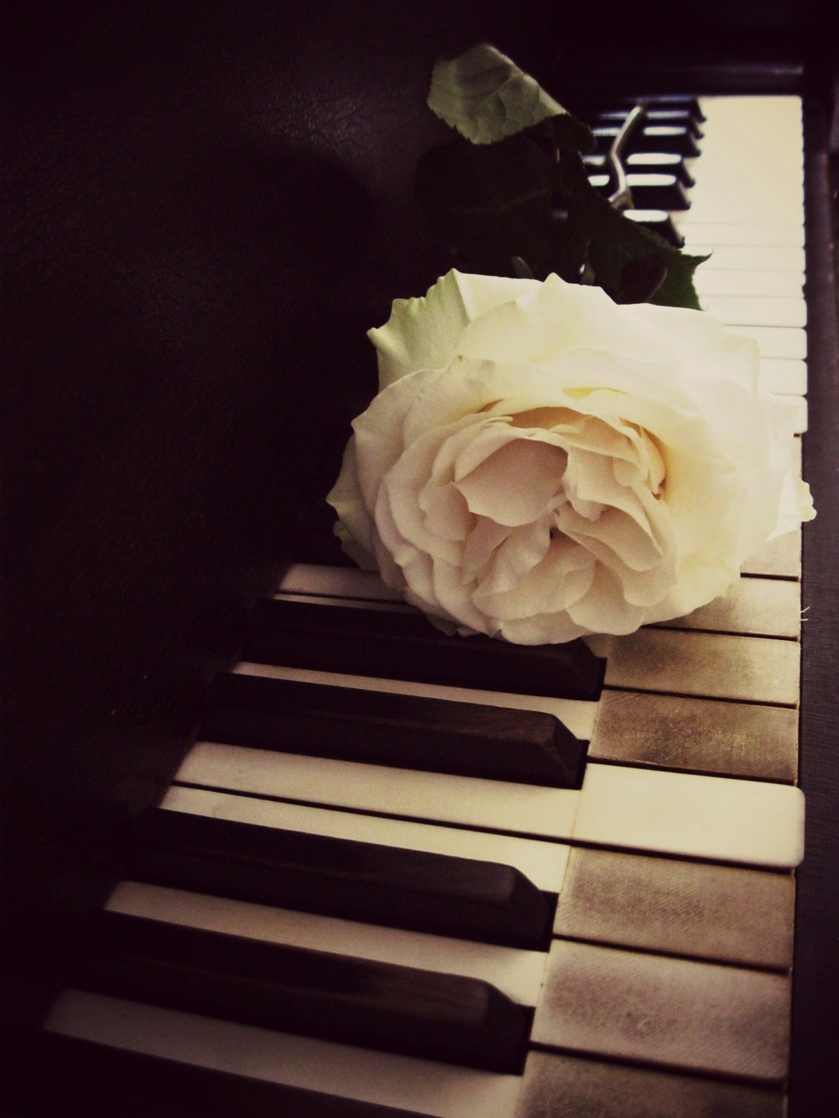 Пианино Эстетика