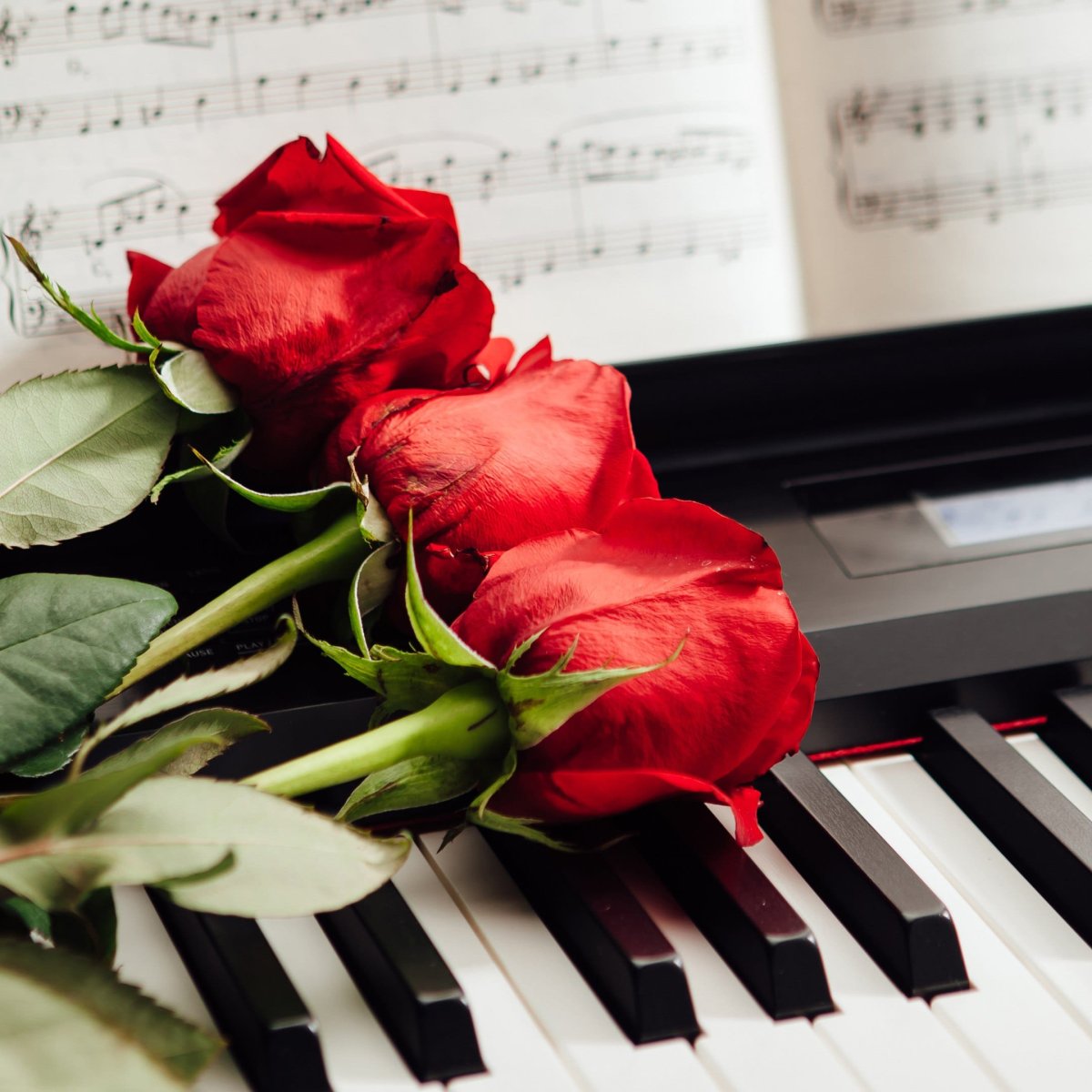 Открытка педагогу по вокалу