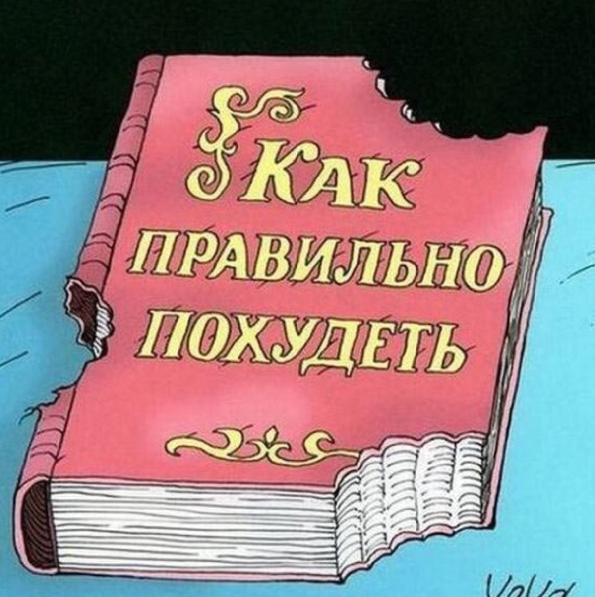 Шутки про похудение