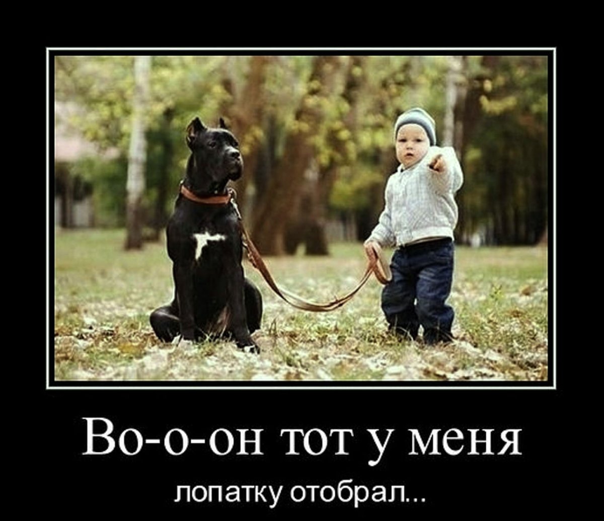 Позитивные надписи для поднятия настроения