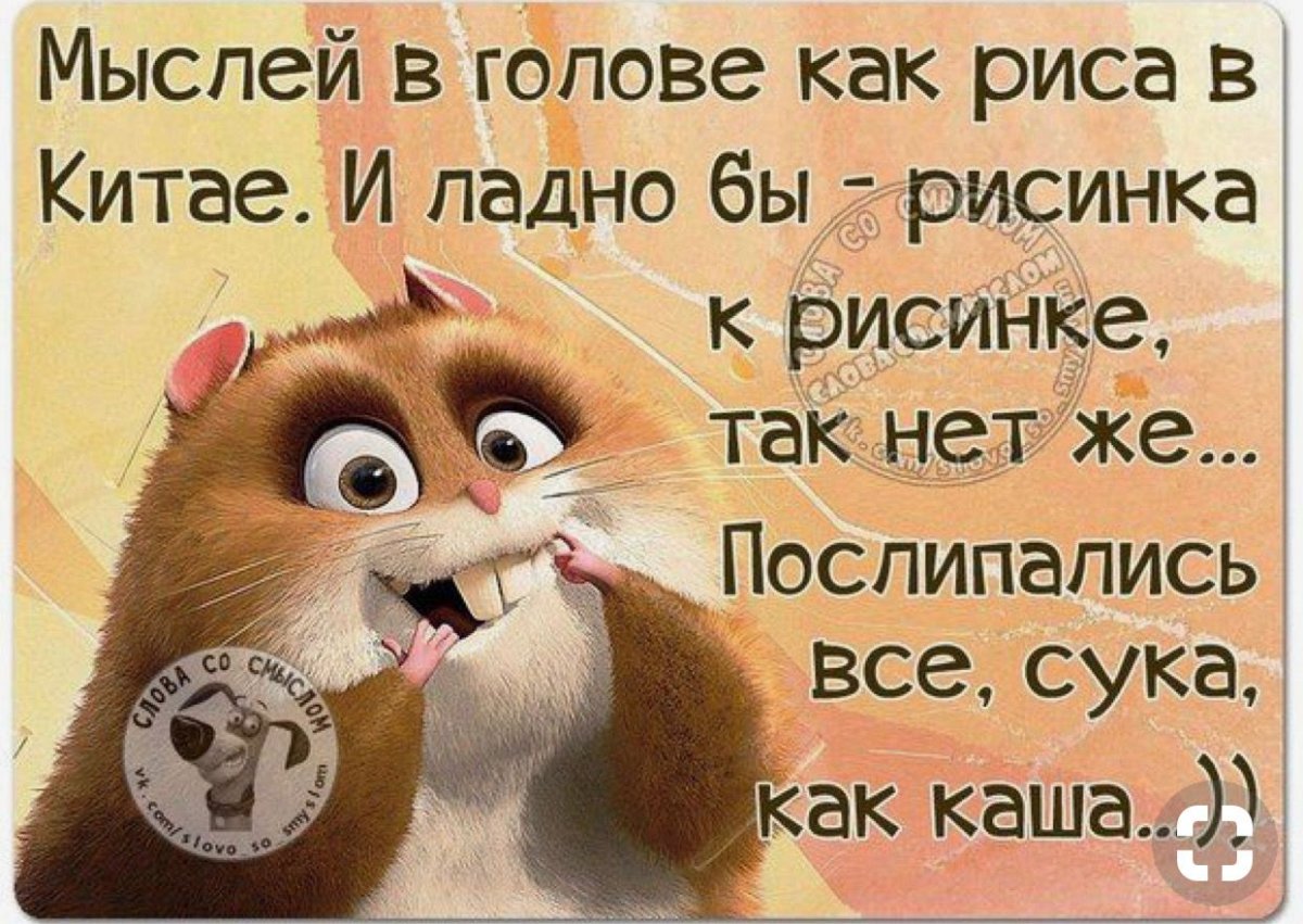 Смешные статусы со смыслом