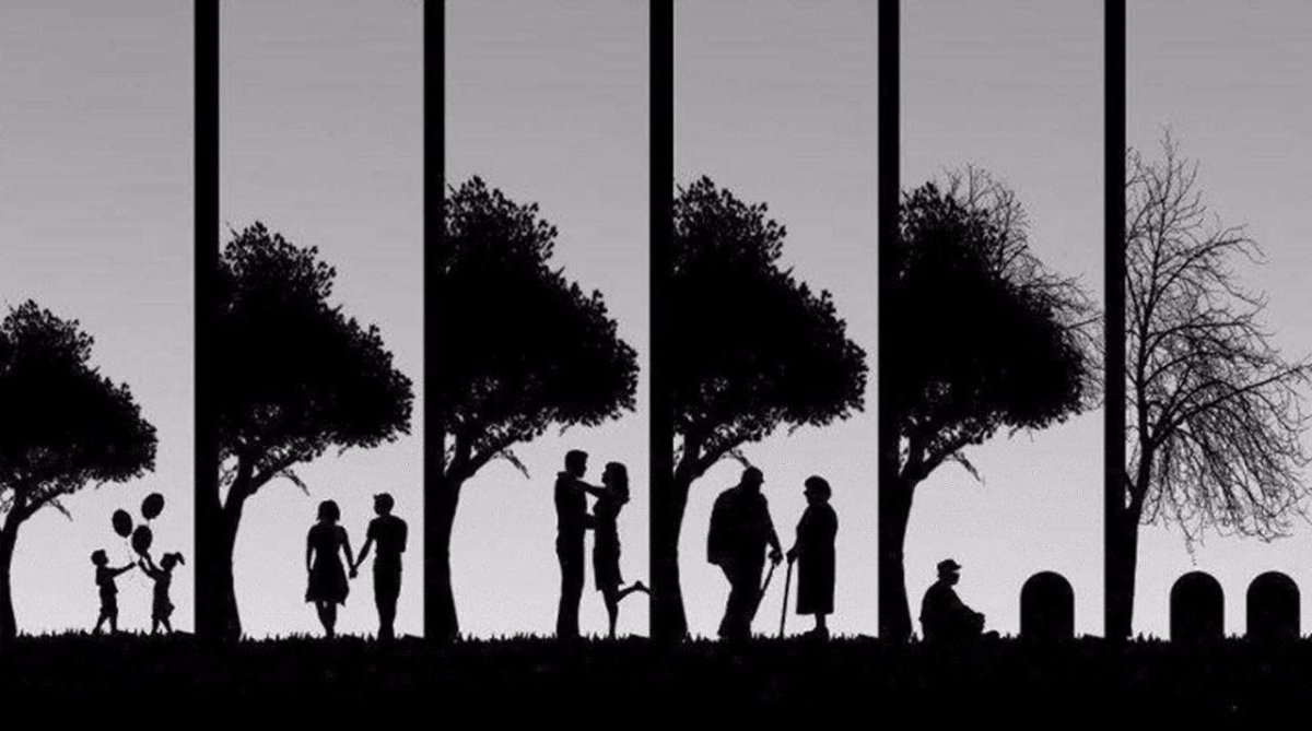 Этапы жизни картина