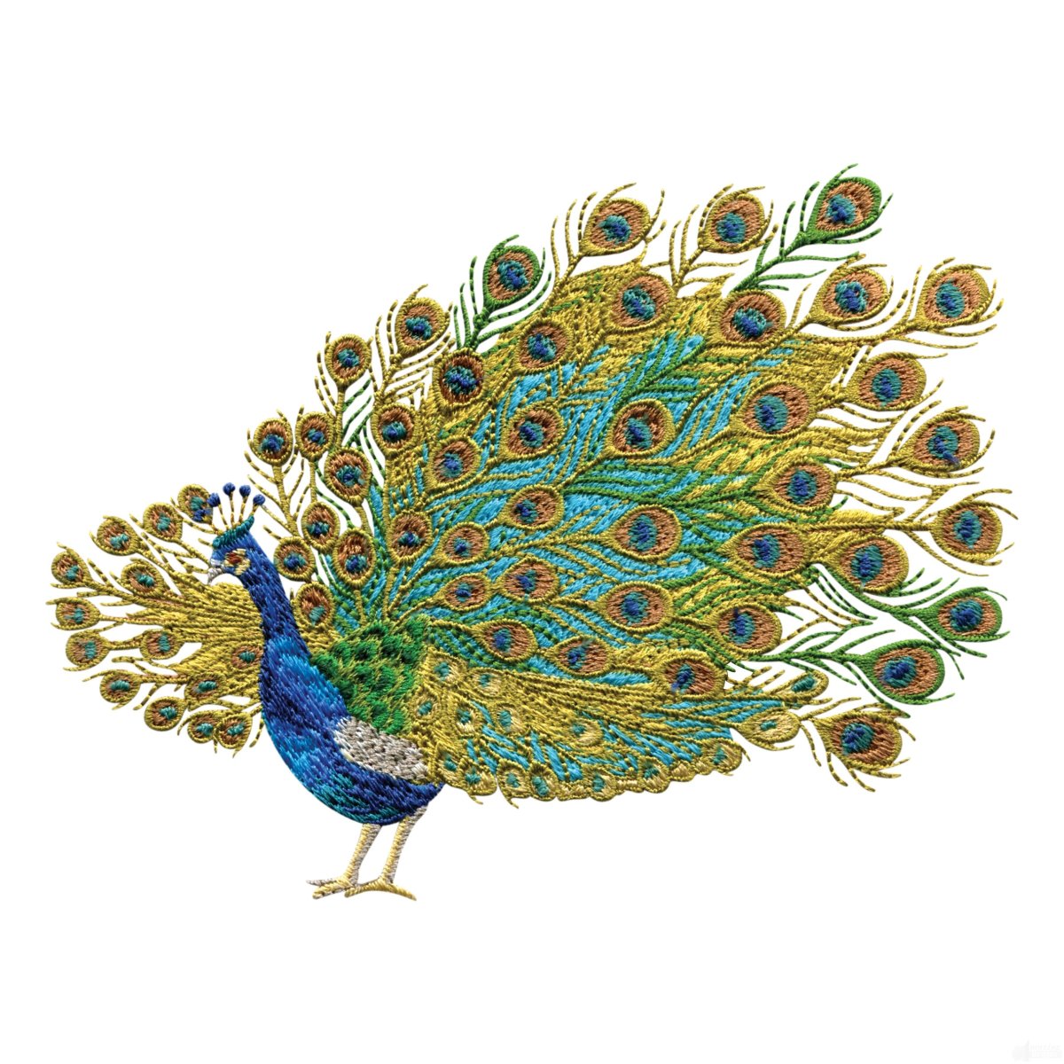 Павлины на белом фоне