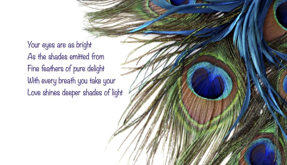 Птица Павлин