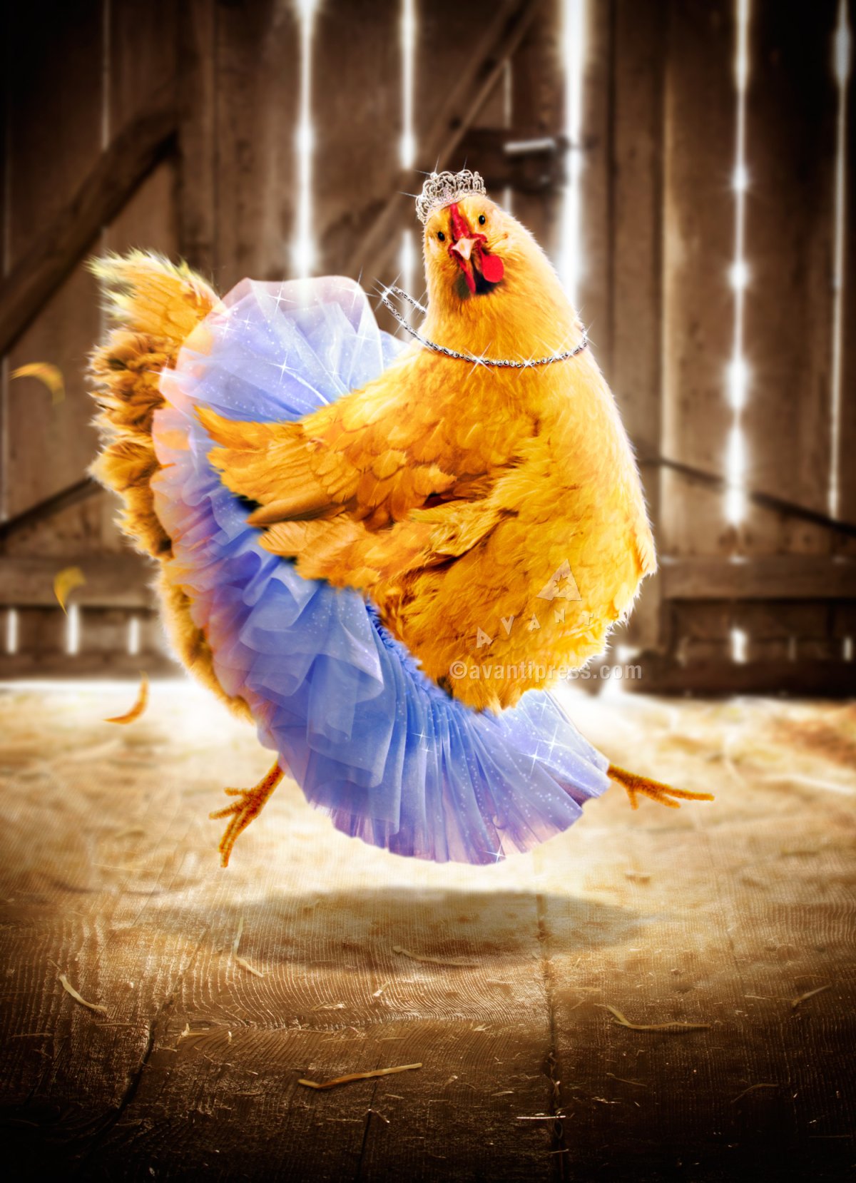 С днем рождения цыпленок