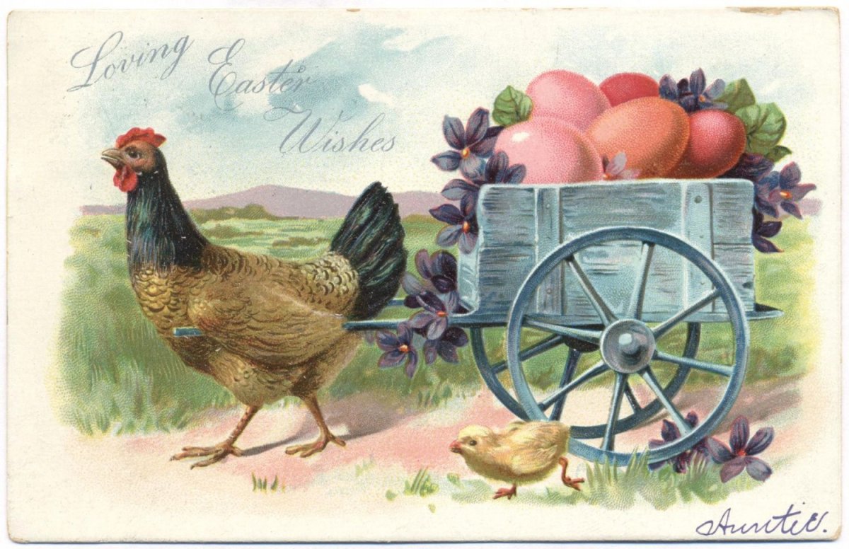 Курица гриль