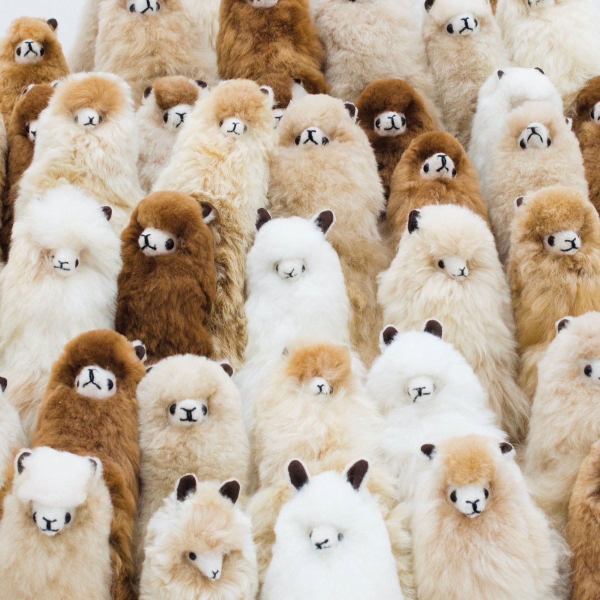 Много животных