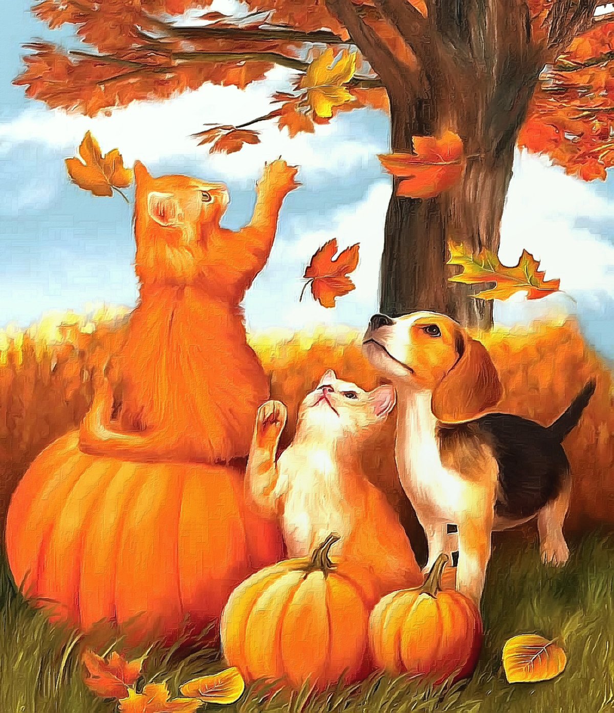 Осень белка