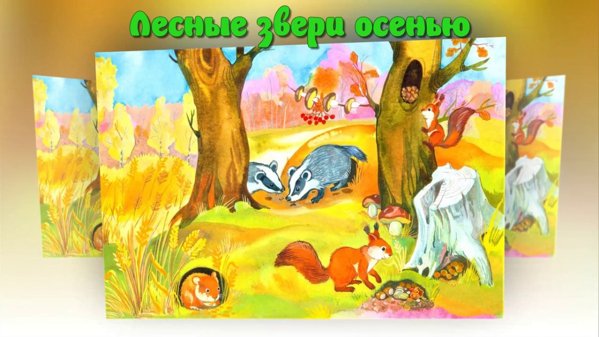 Животные леса коллаж