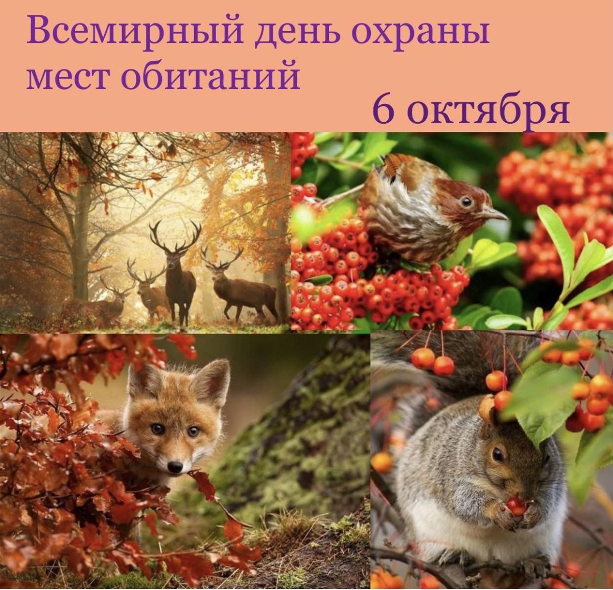 Осенние зверюшки для детей