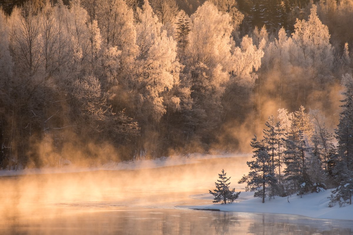 Река в лесу зимой