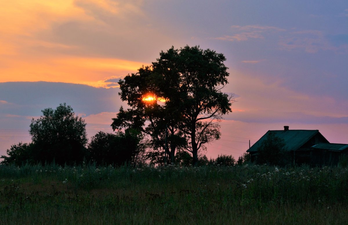 Александр Пашеничев фотограф
