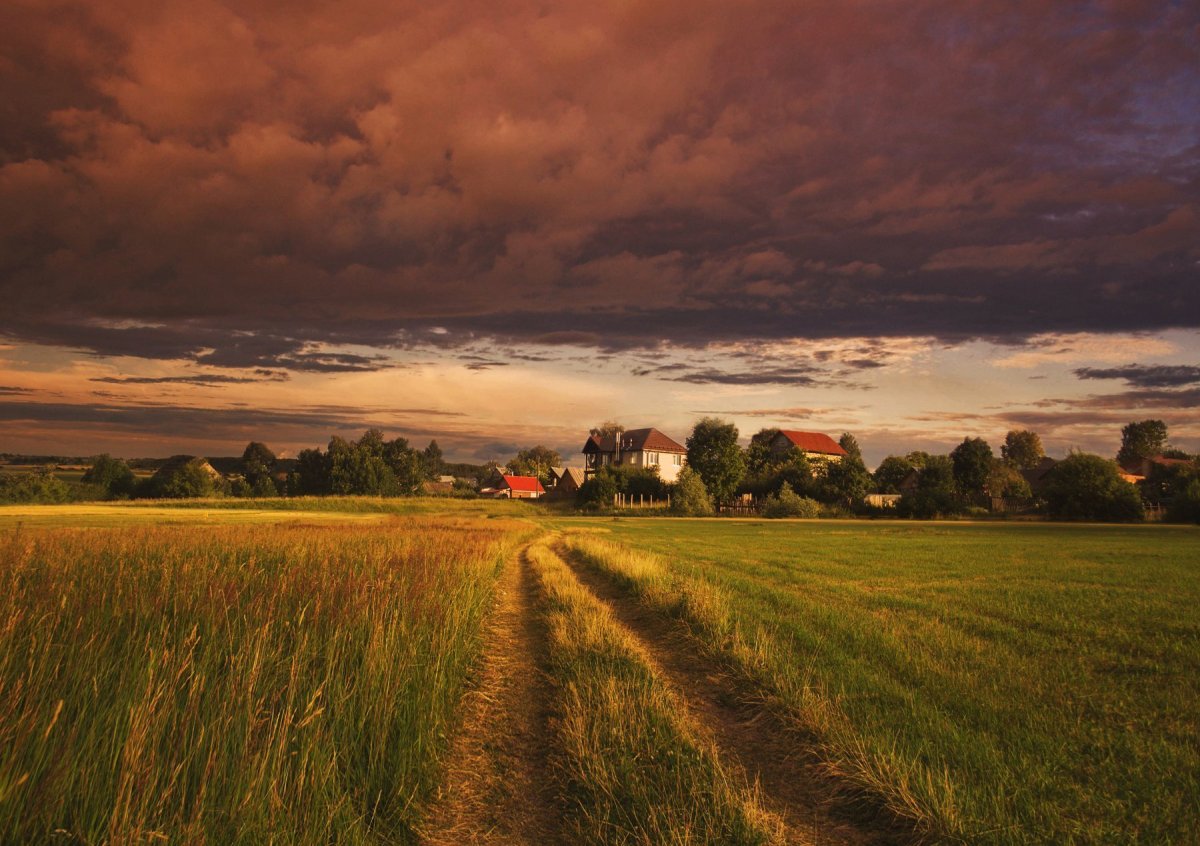 Поселок Пено Тверская область