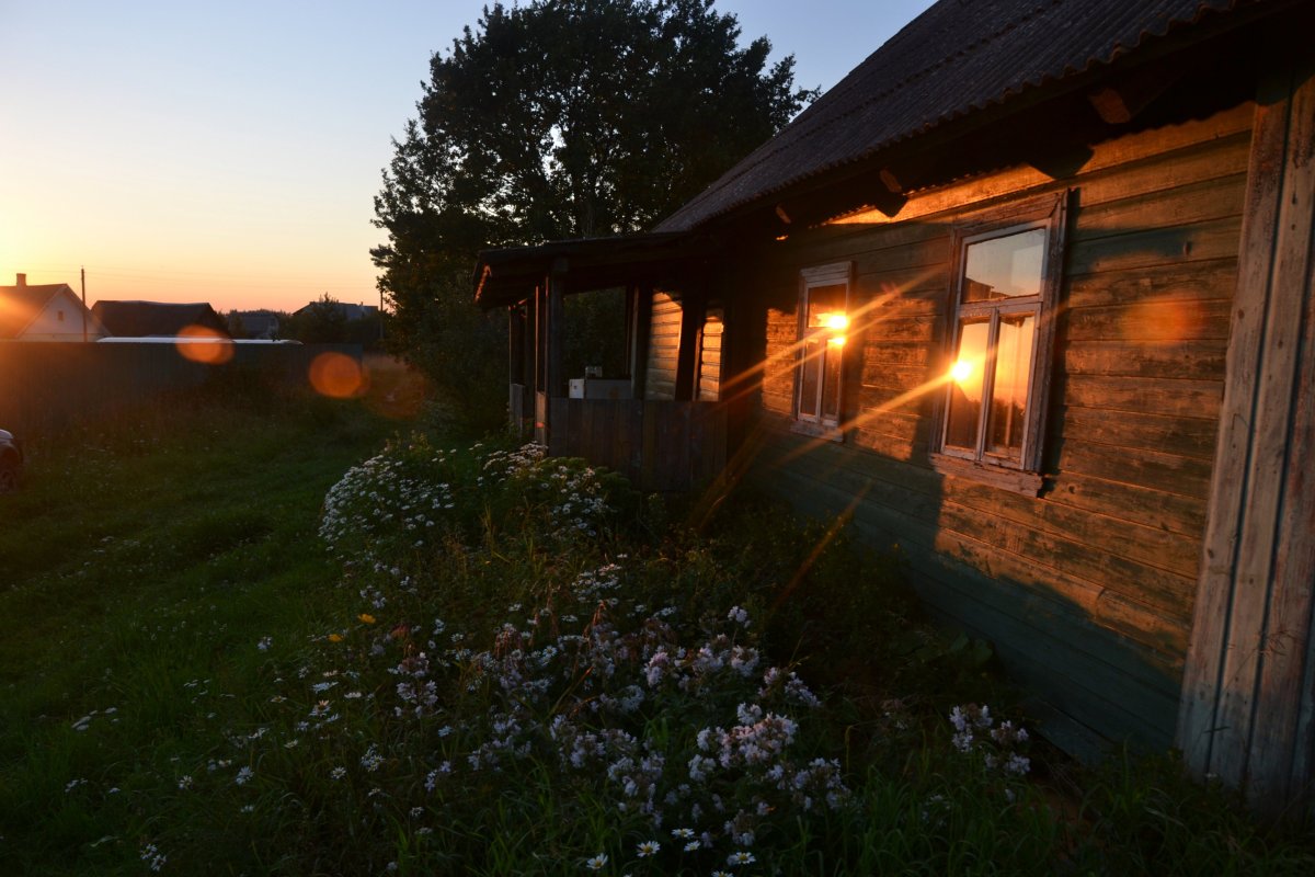 Лето в деревне