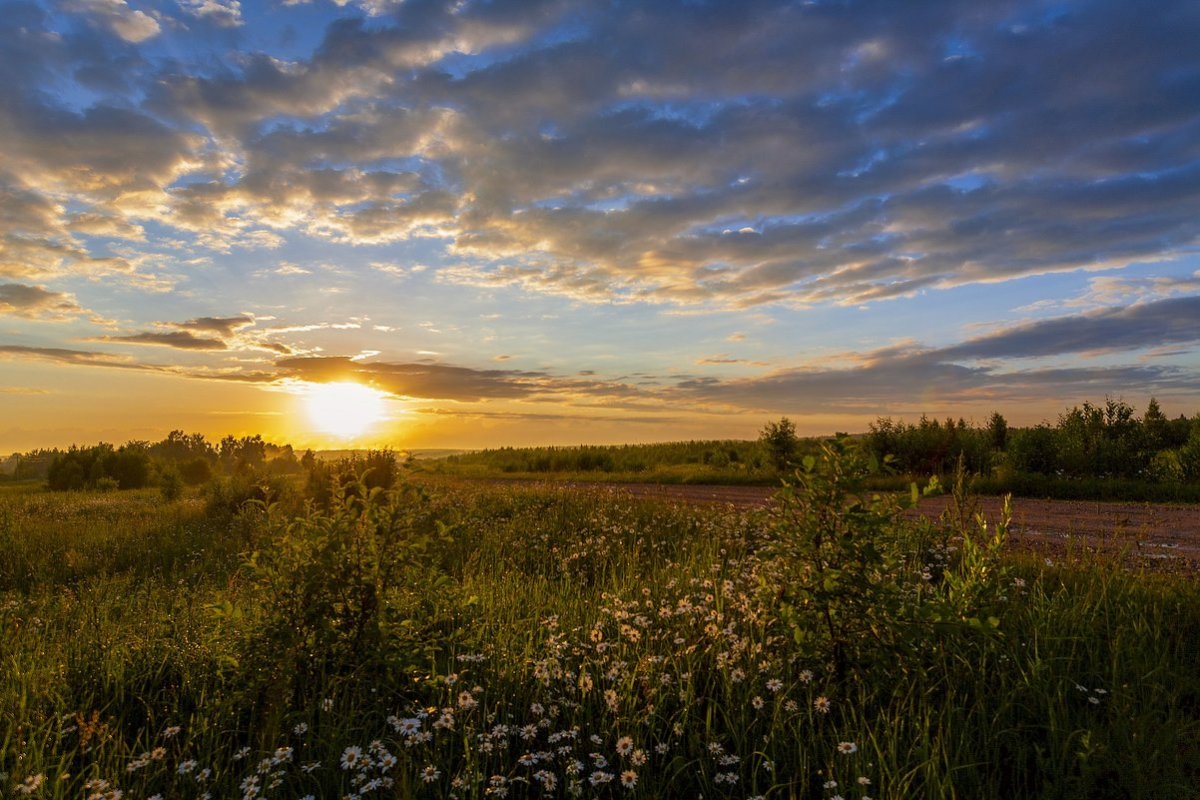 Вечер в деревне у реки