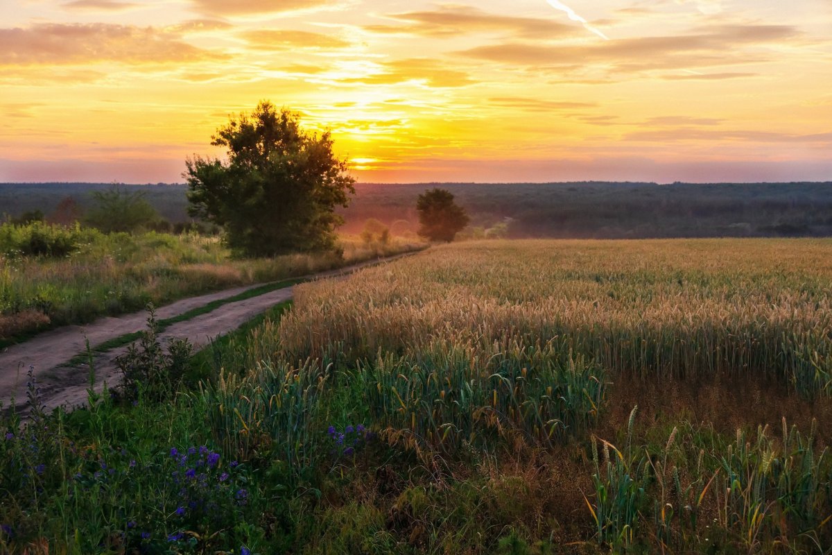 Вечер в деревне