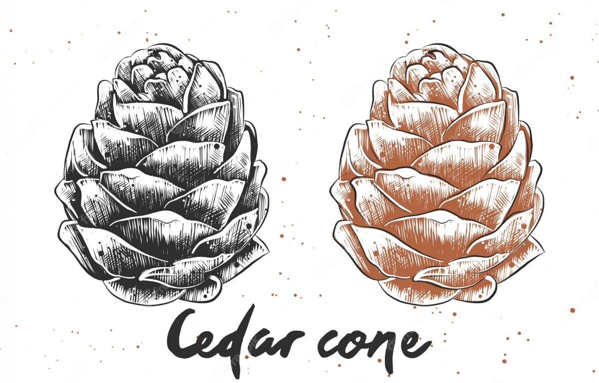 Шишки мультяшные