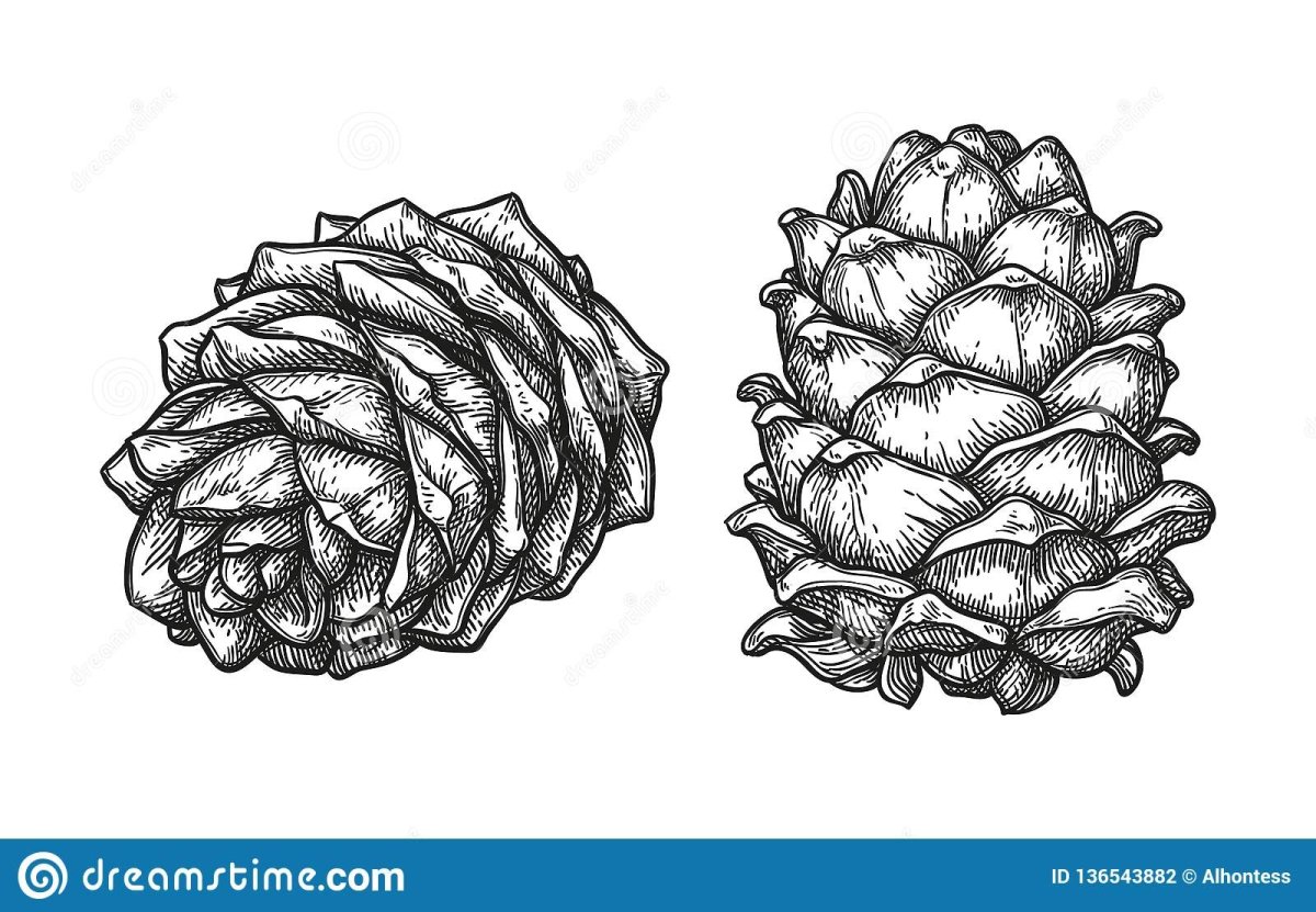 Шишки мультяшные