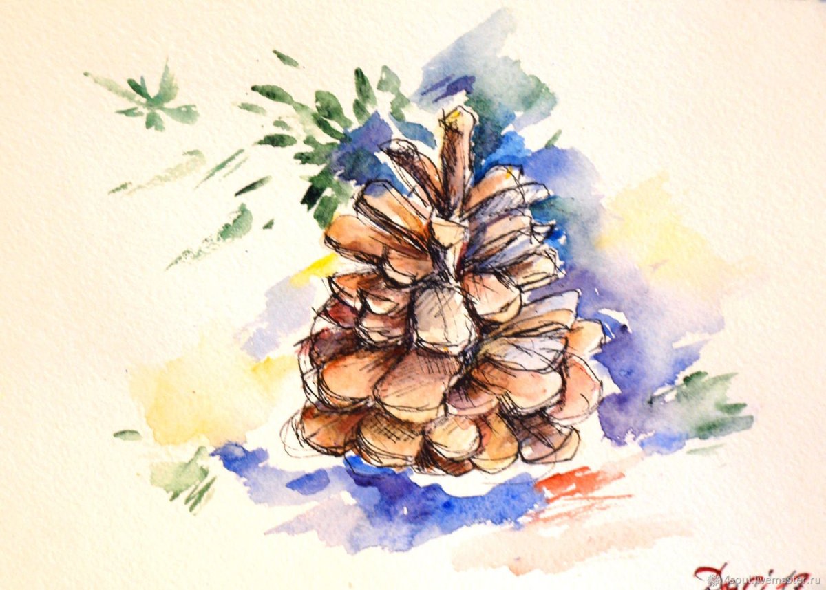 Шишка Графика