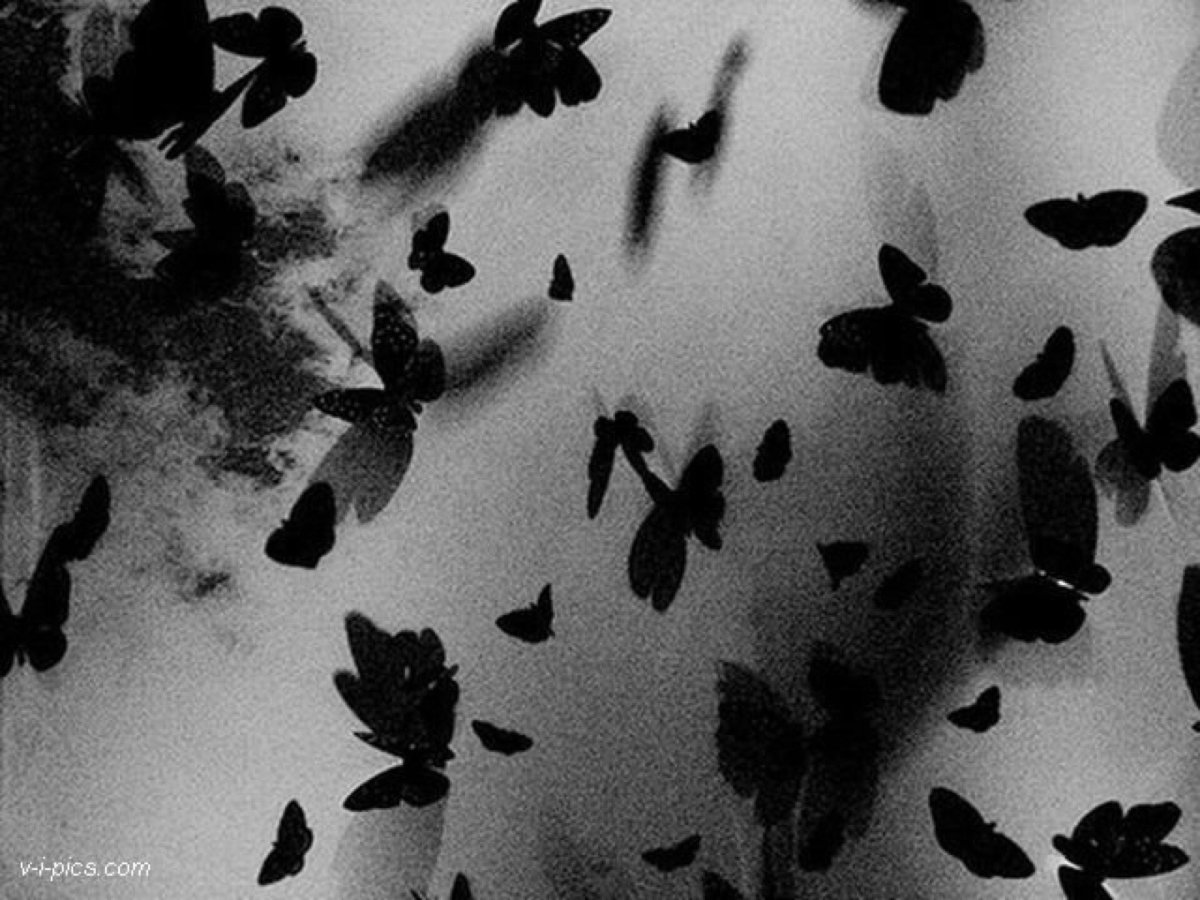 Силуэт бабочки