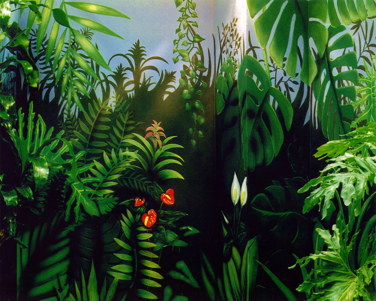 Растения джунглей