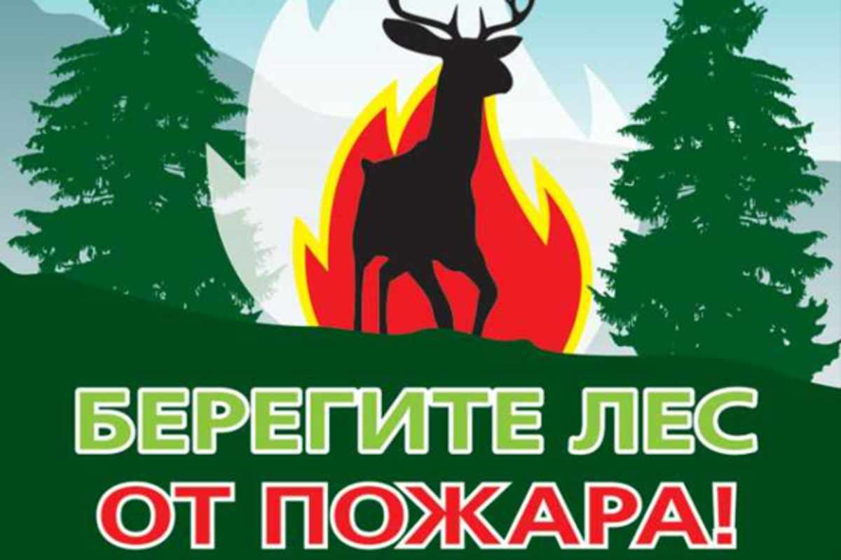 Берюгите лет от пожара