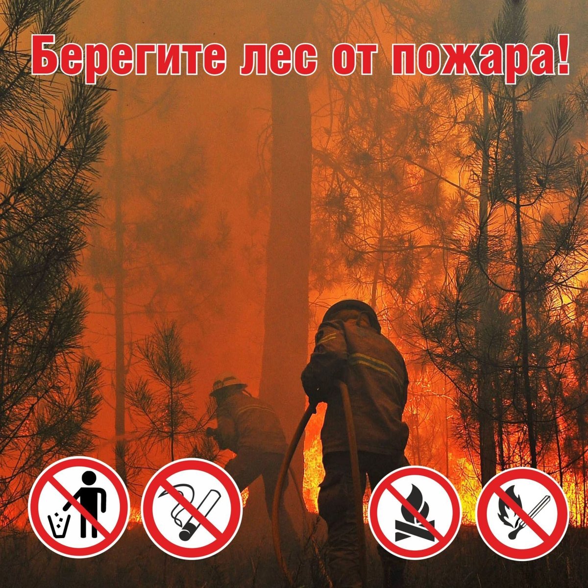 Берюгите лет от пожара