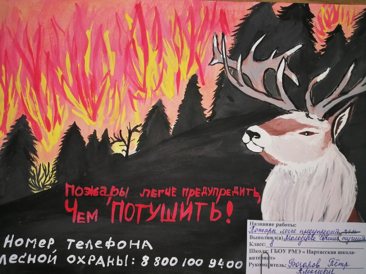 Победители конкурса рисунков берегите лес