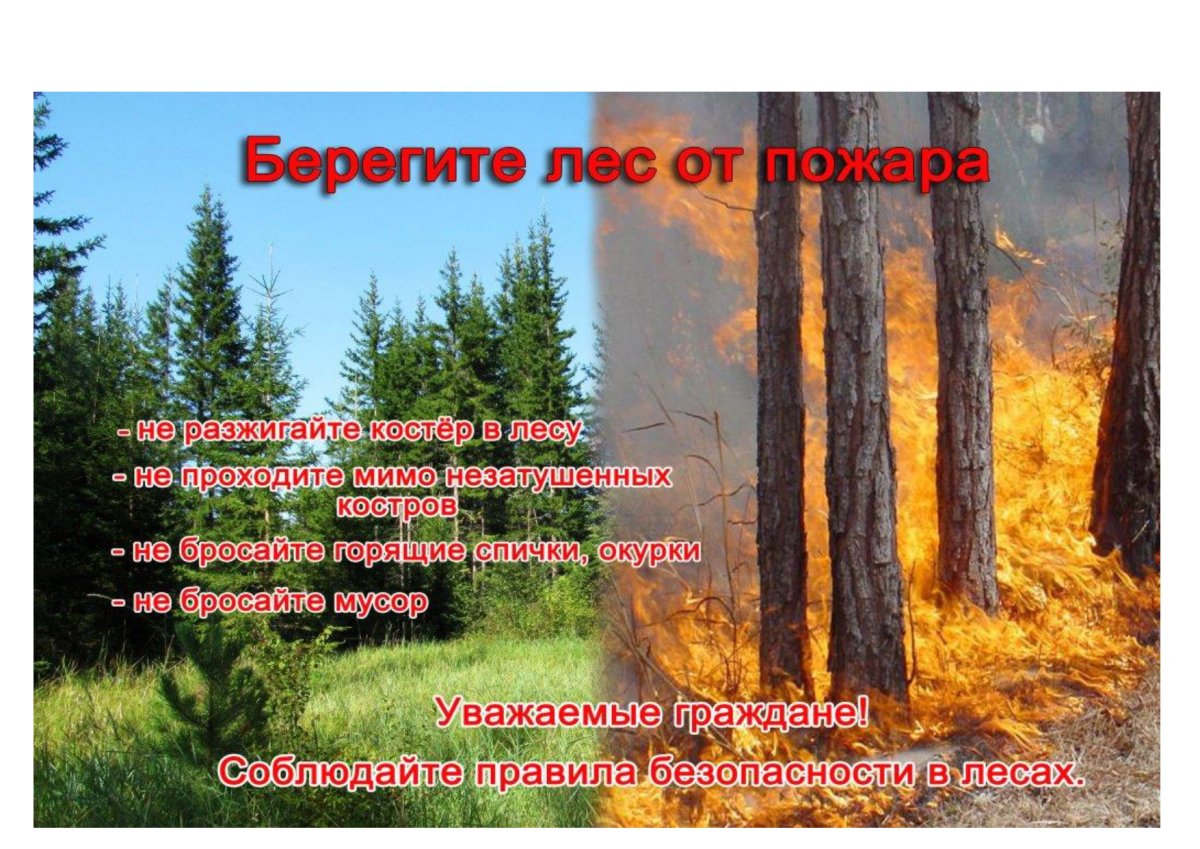 Берегите Лас от пожара