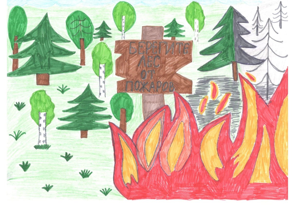 Рисунок на тему Лесные пожары