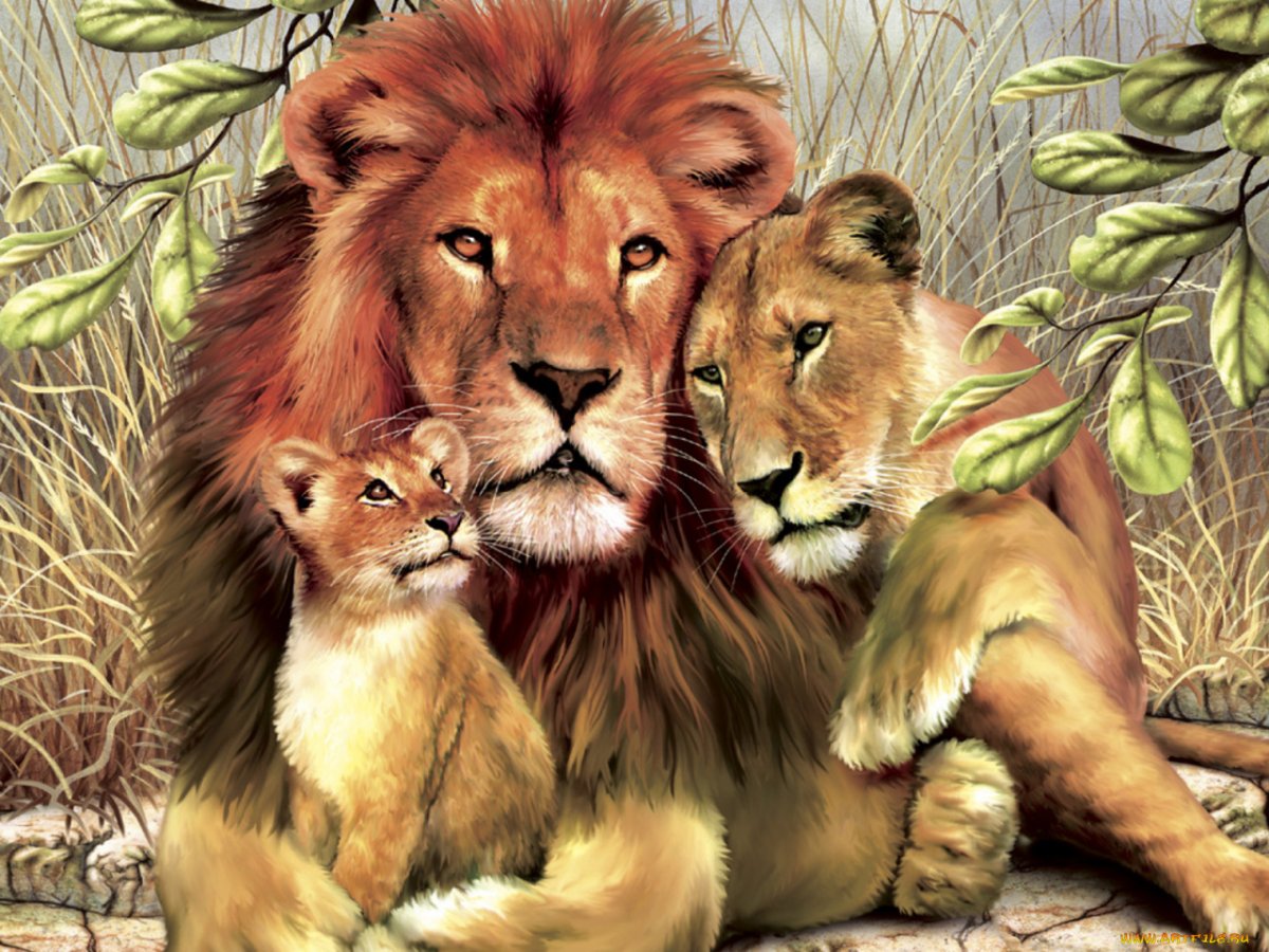 Лев львица и Львенок