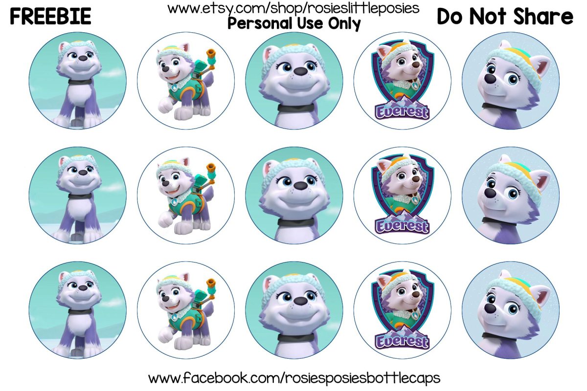 Топперы Эверест