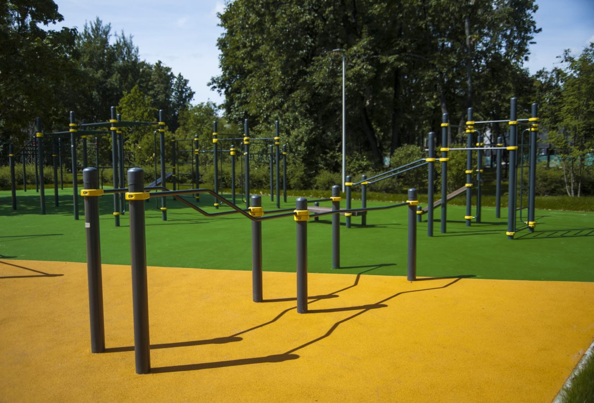 Спортивная площадка в лесу