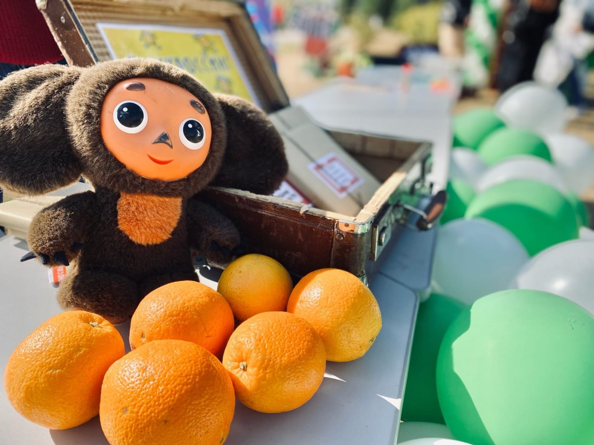 Чебурашка понегрел