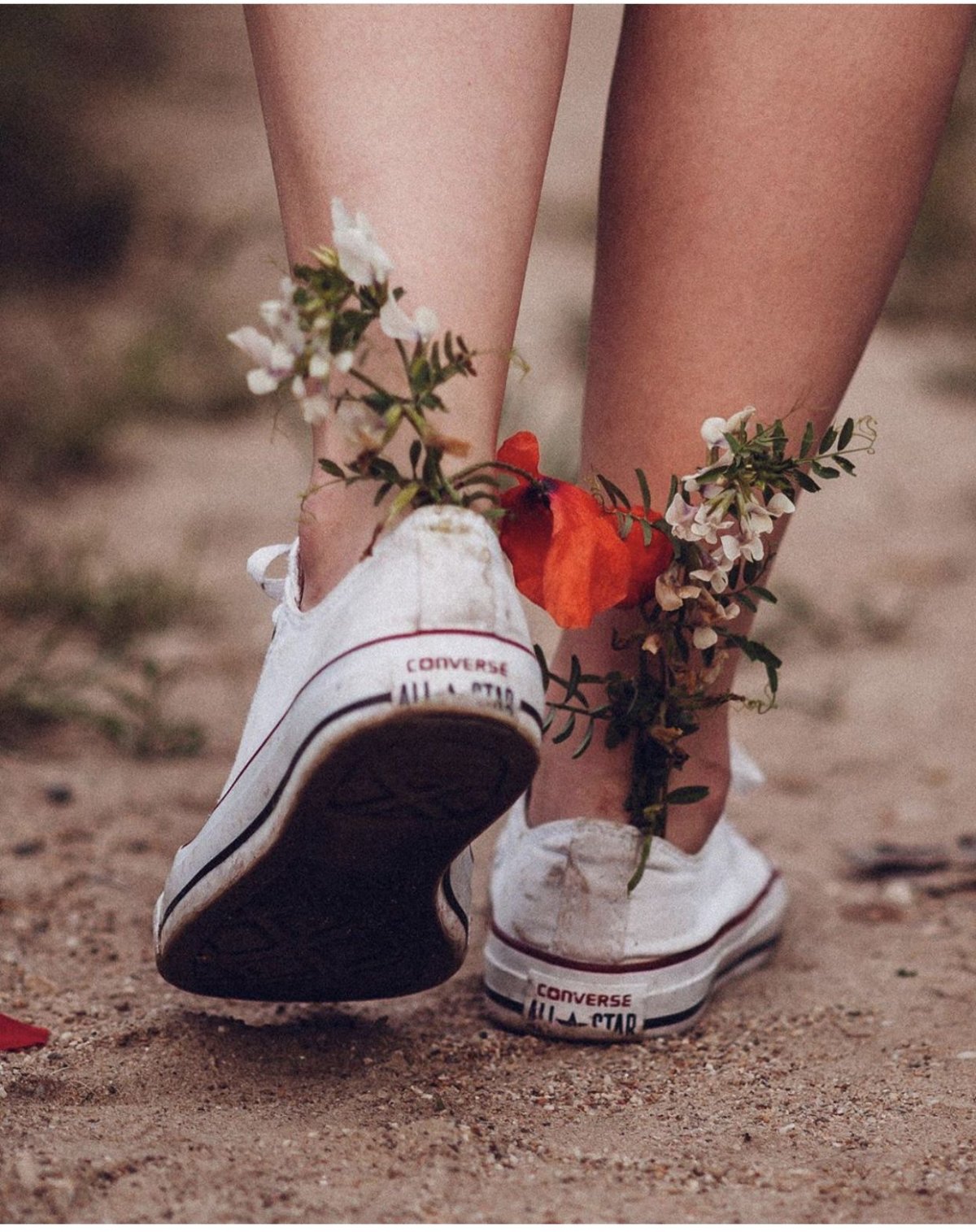 Счастье в здоровом теле и спокойной душе