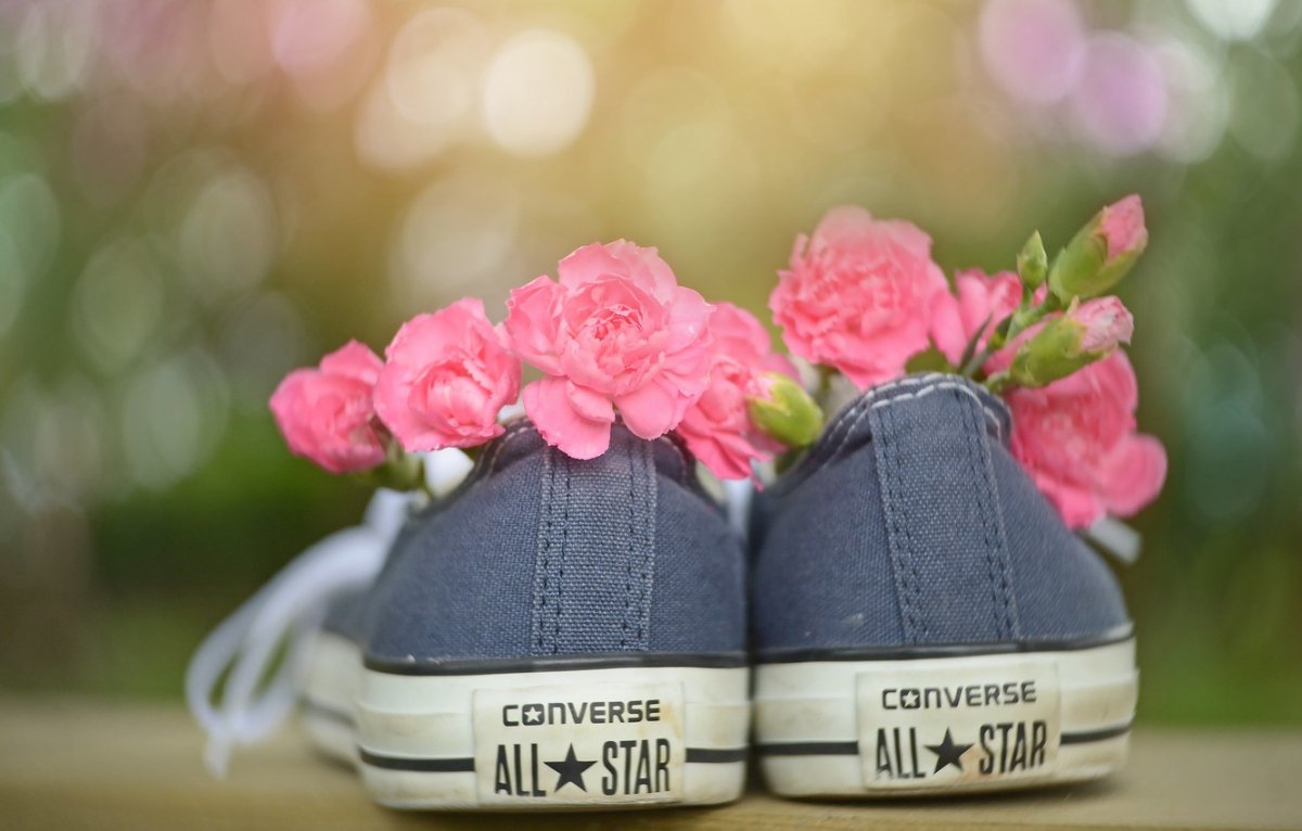 Цветы в кедах картинки