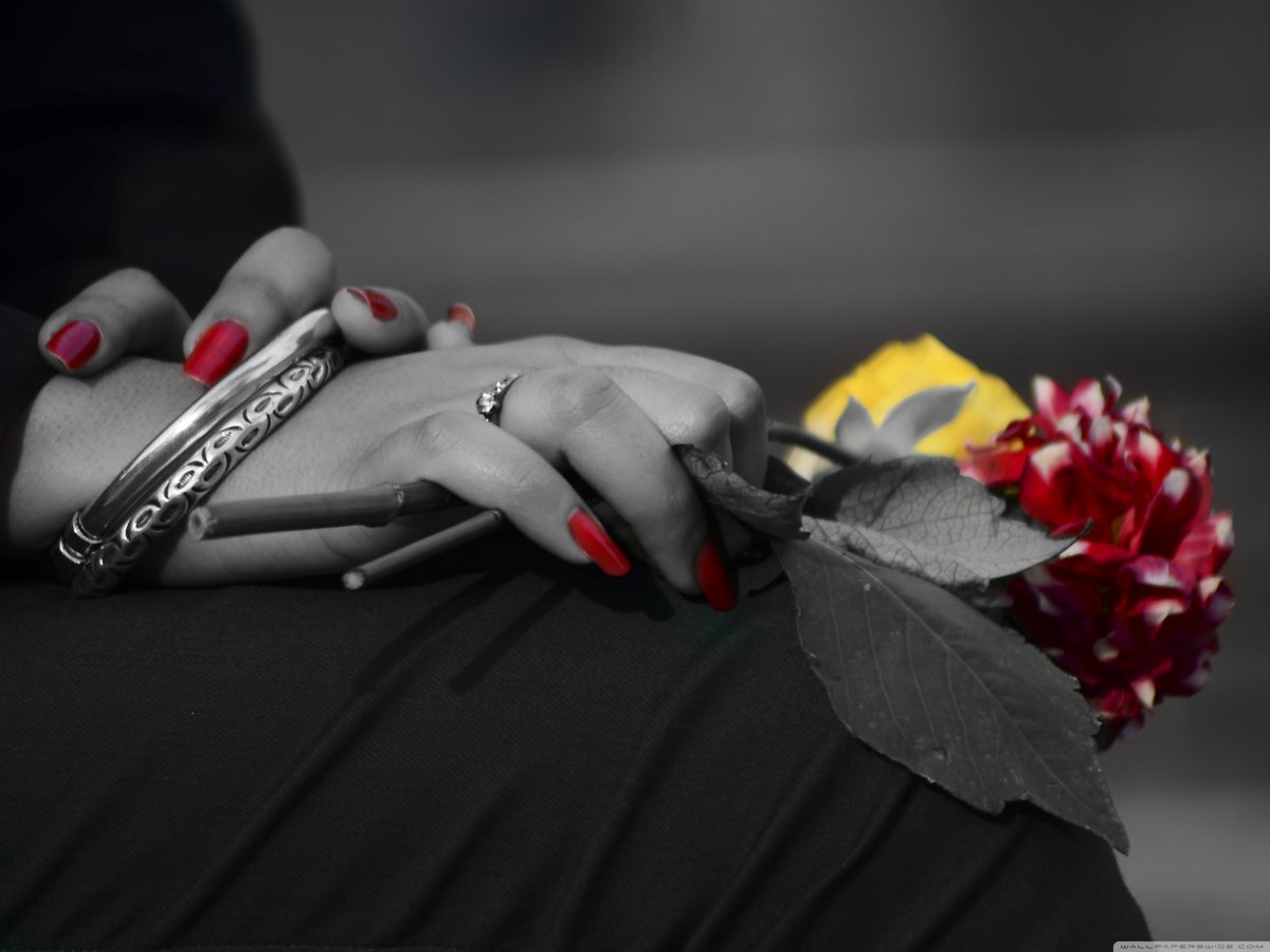 Черный цветок в руке