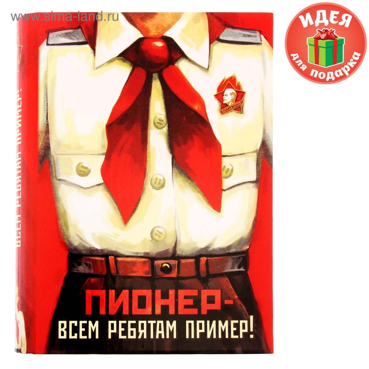 Пионер из СССР