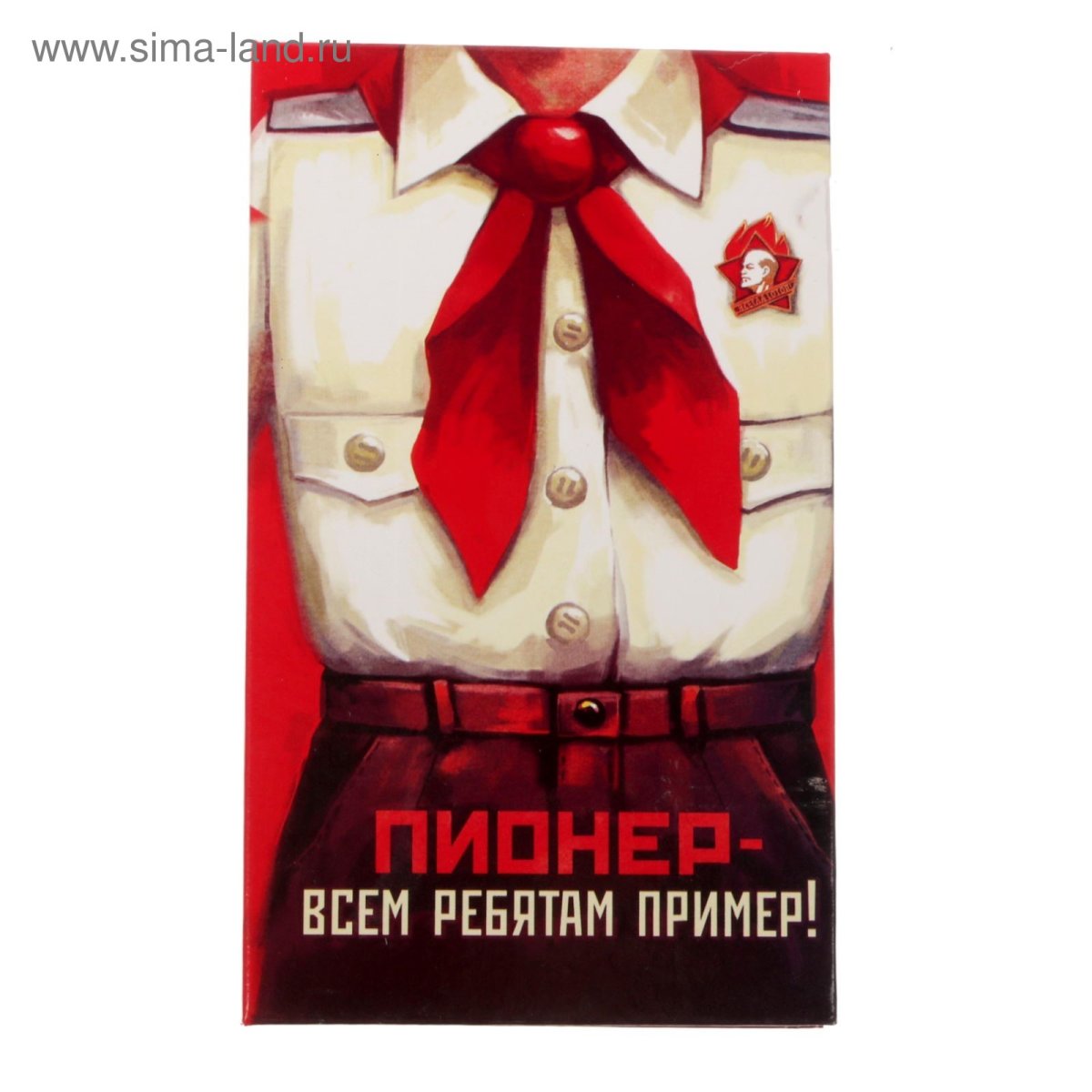 Пионер всем ребятам пример плакат
