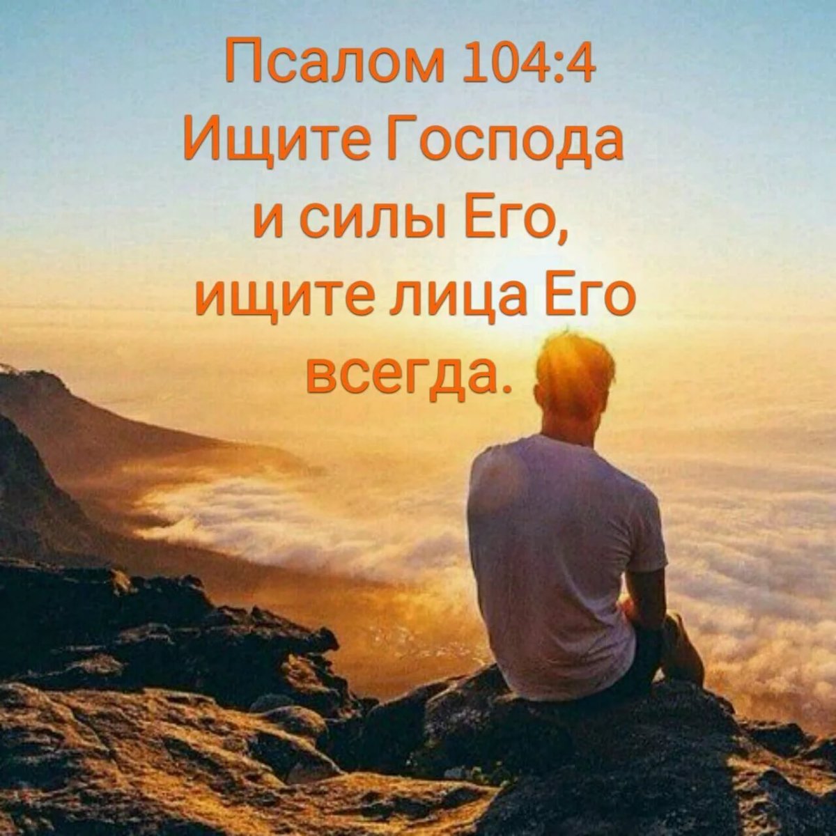 Вдохновляющие цитаты Мотивирующие