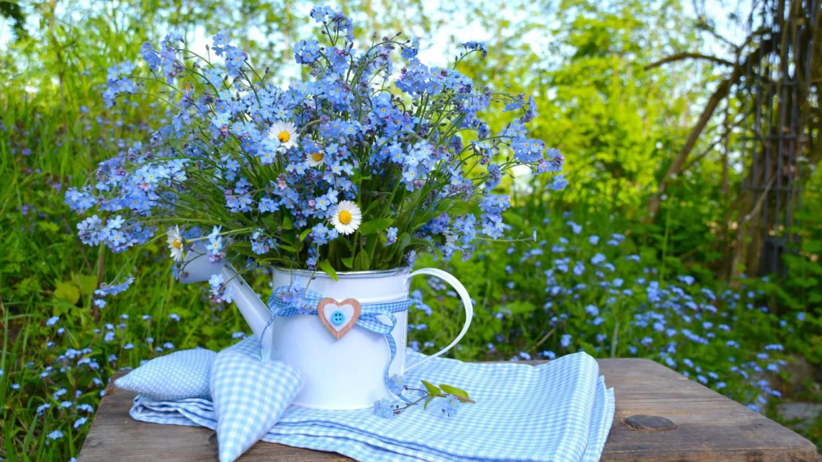 Ромашки и незабудки в букете