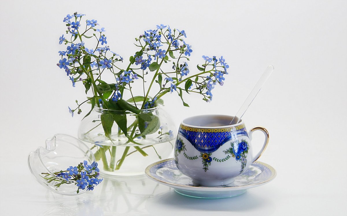 Незабудки и кофе