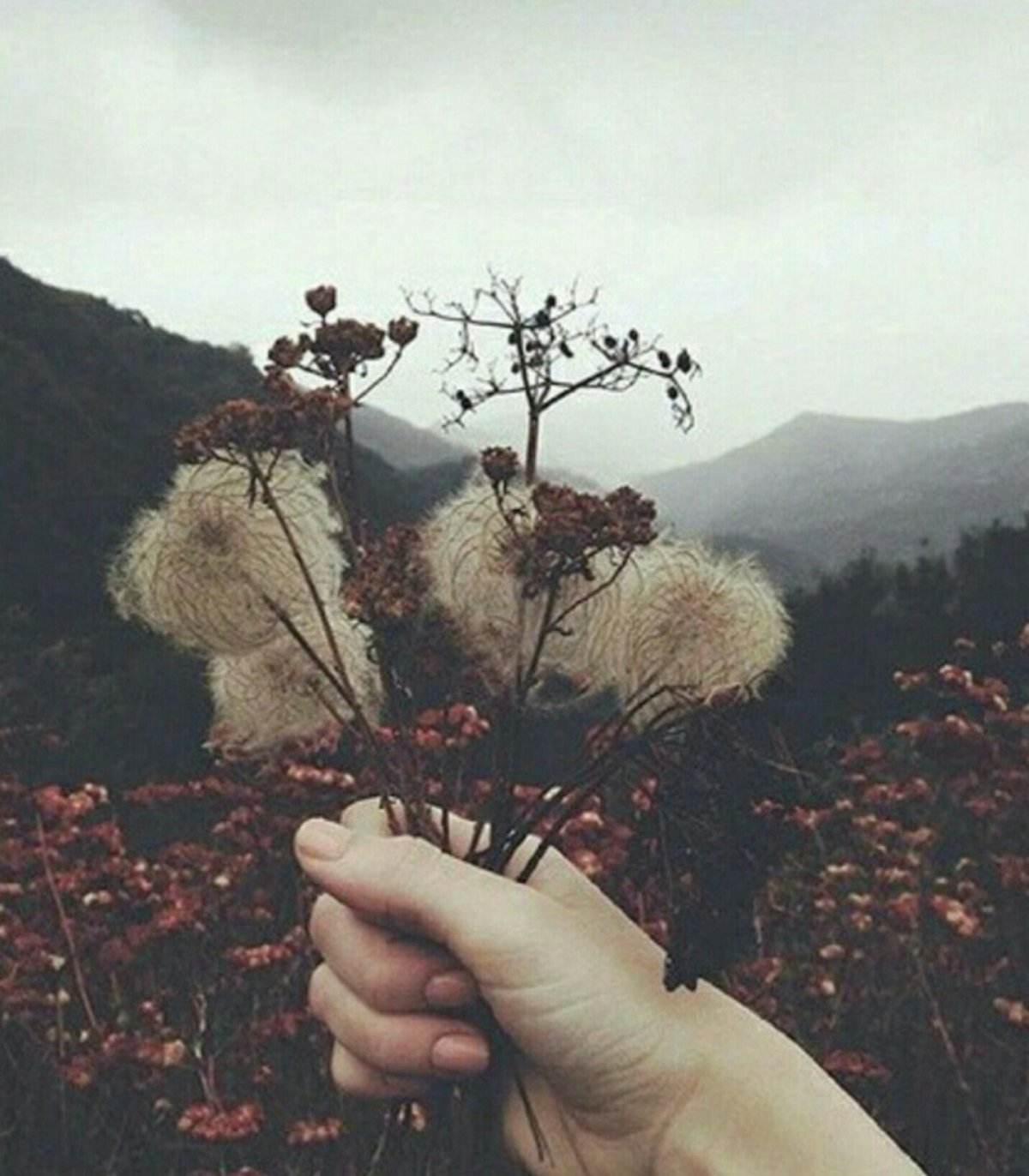 Атмосферные фотосессии