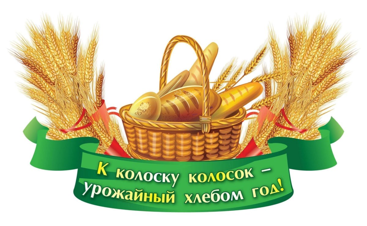 Колос корзинок
