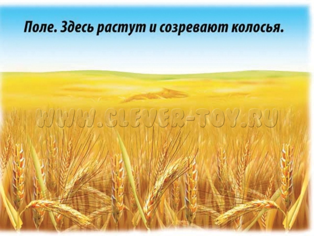 Хлеб для дошкольников